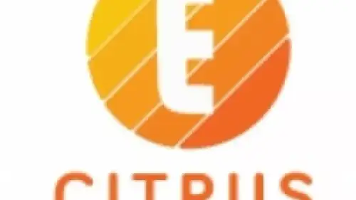 Бывшие работники E-Citrus провели одиночные пикеты