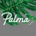 Palma