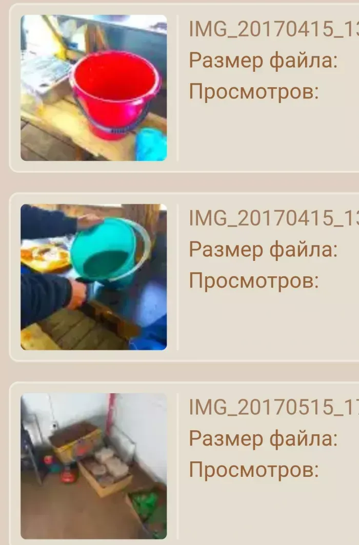 Прудниковы