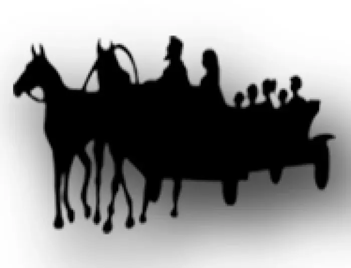 ООО "Фонд из города на землю"