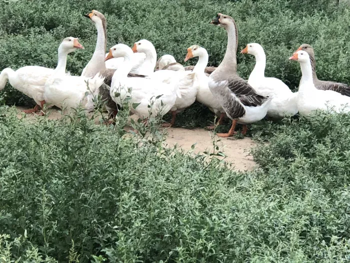 ООО Регион-Трейд