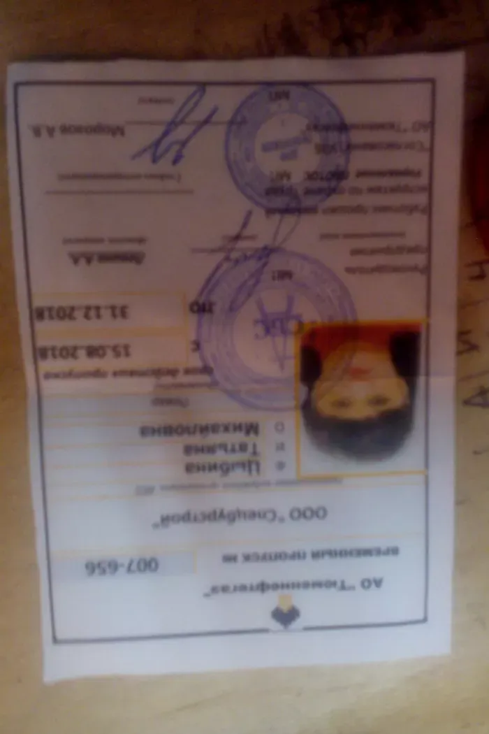 О.о.о.,, Орхидея,,