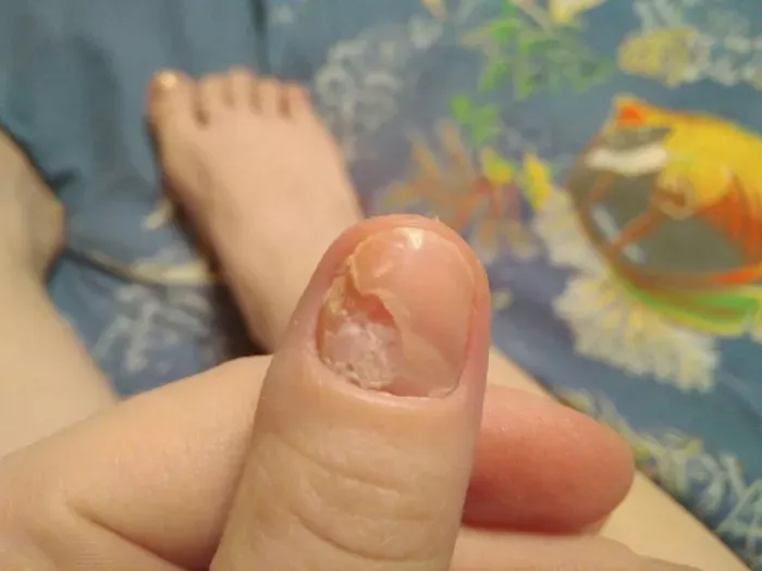 ПРАЙМСТАР Ресторантс Групп