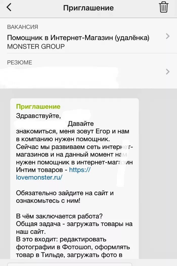 Monster Group (ИП СТЕПАНОВ ЕГОР АНАТОЛЬЕВИЧ)