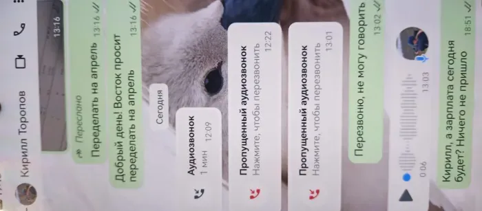 ооо космос