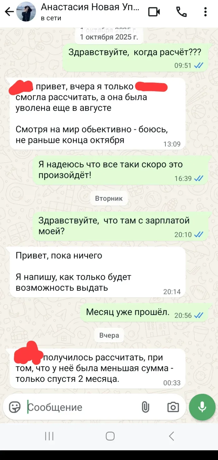 Bluefin "Времена года"