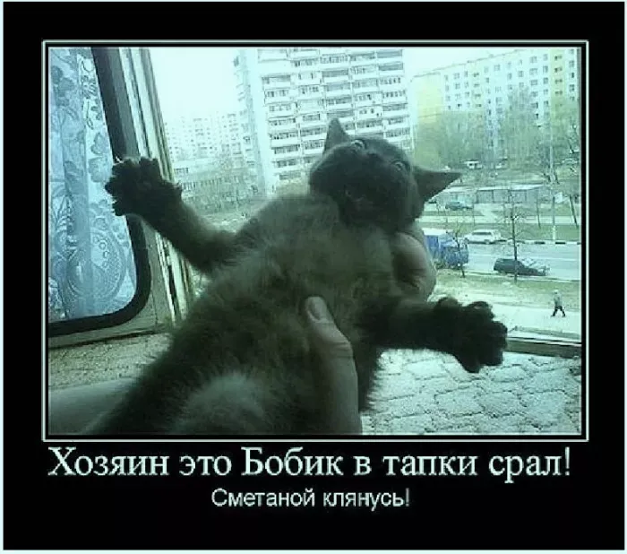 nkolesa.ru