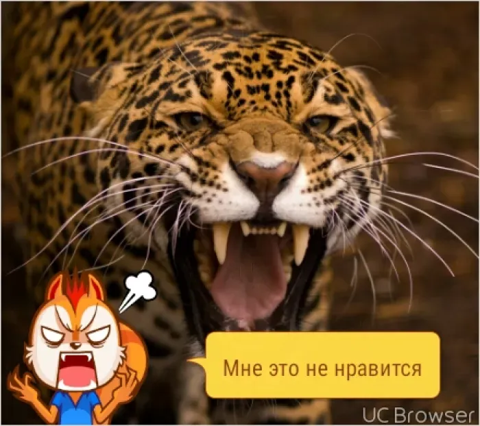 авто завод (ооо,оаг)