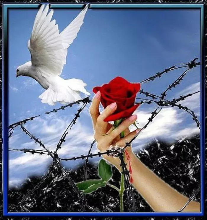 ООО "Айсель"